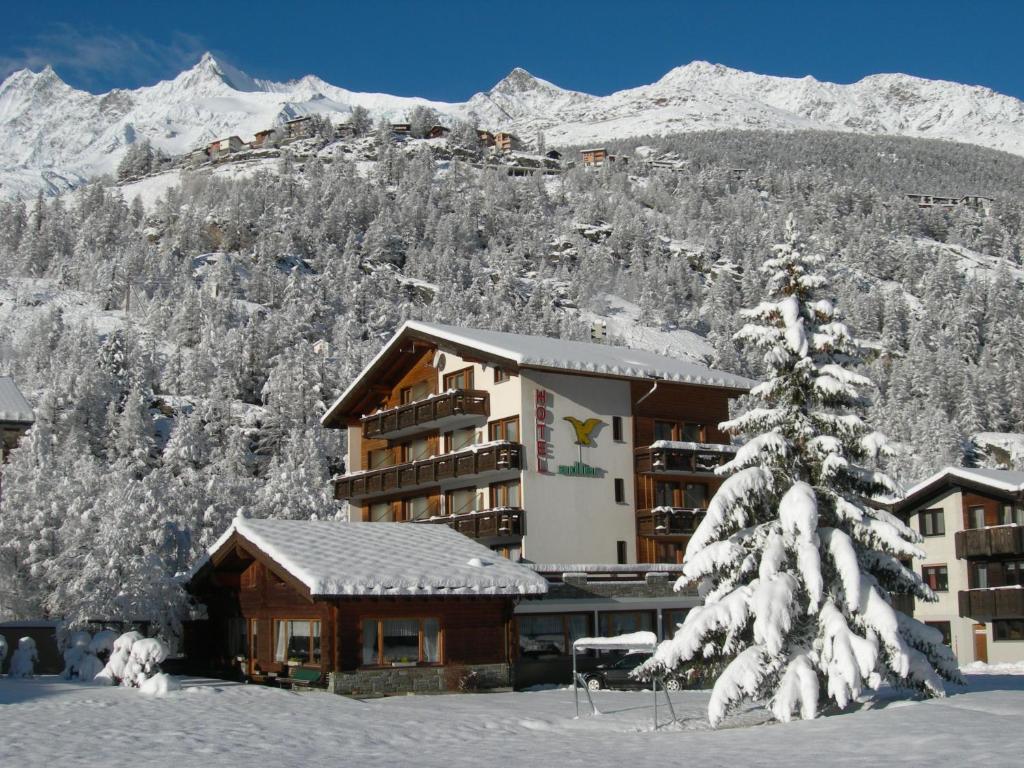 Hotel Adler ساس-غروند الغرفة الصورة